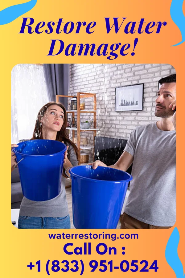 water restoration Golden Sewage Cleanup & Sons Fenwick