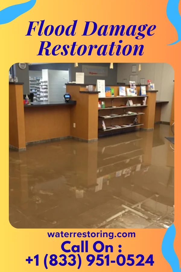 Flood Damage Restoration in Fenwick, CT