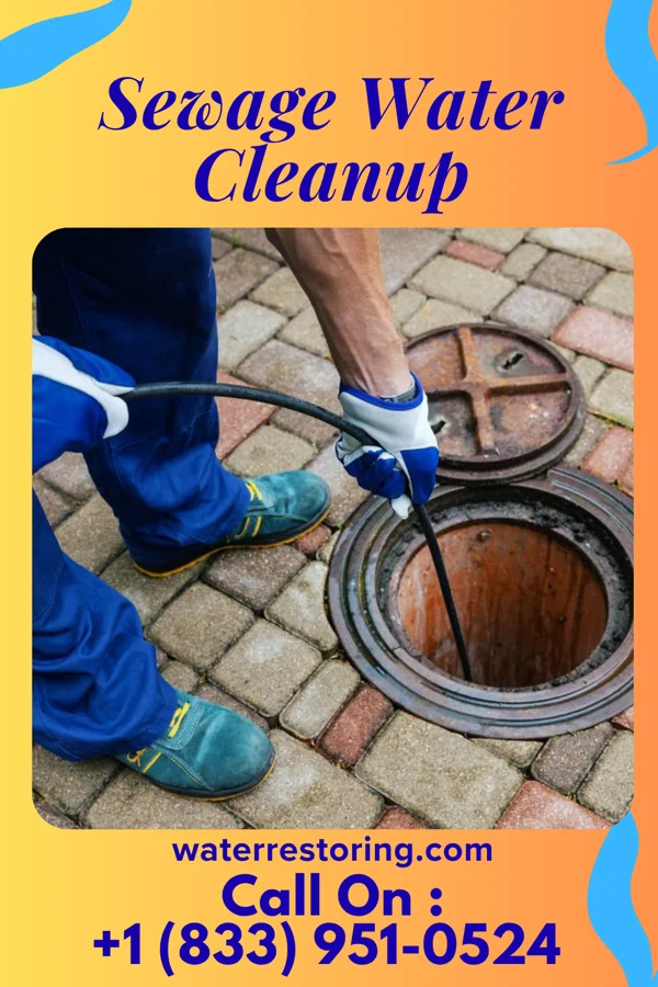 Sewage Water Cleanup in Fenwick, CT